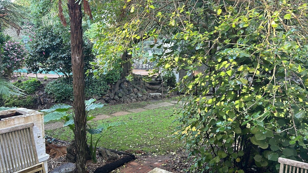 Photo of Outdoor in Mount Eden