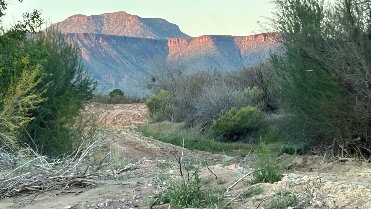 Photo of Others in Tonto Basin