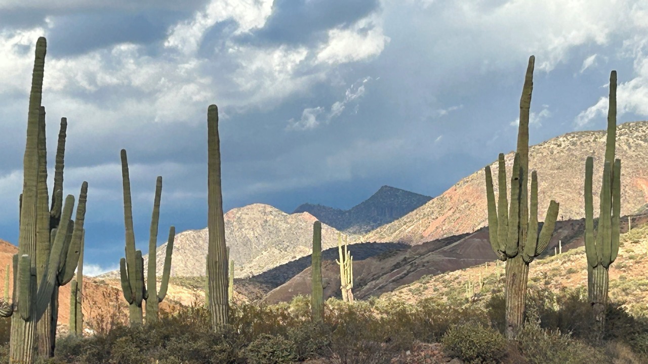 Photo of Others in Tonto Basin