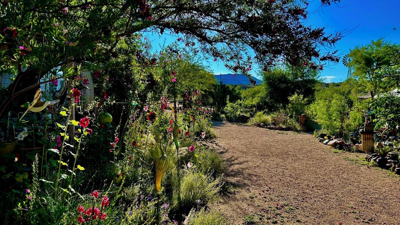 Photo of Outdoor in Tonto Basin