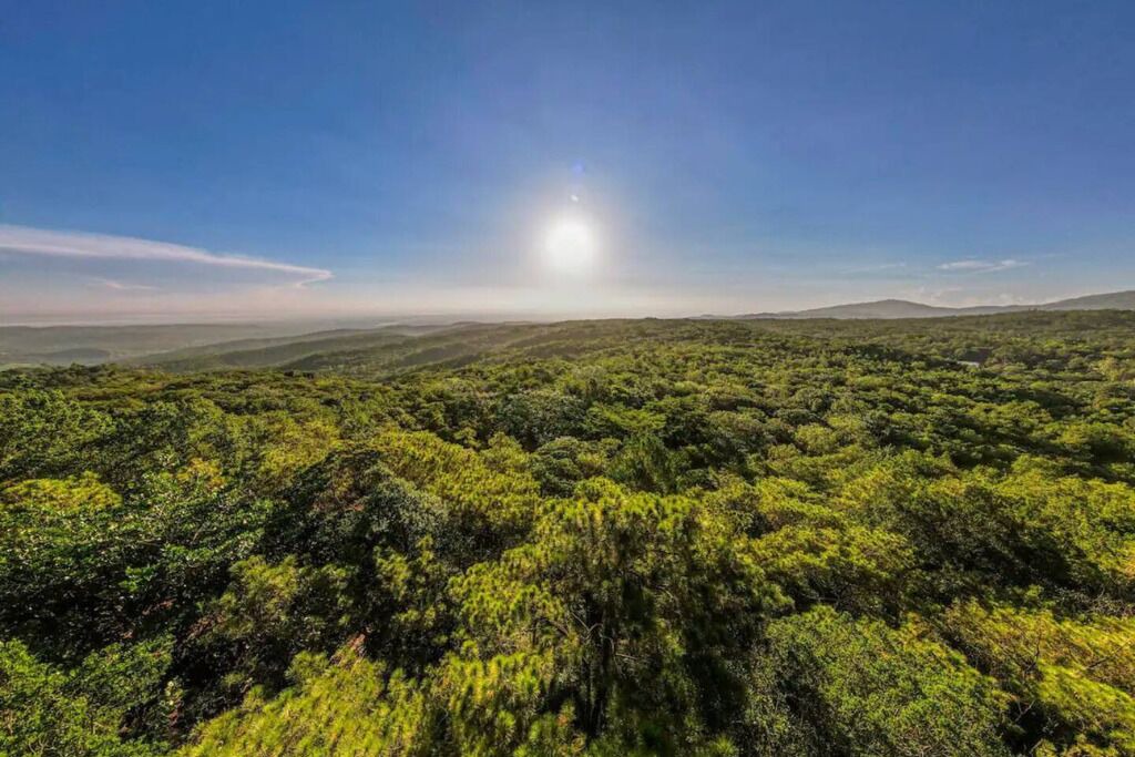 Photo of Others in La Vega Province