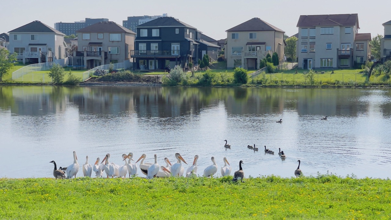 Photo of Outdoor in Fort Gary