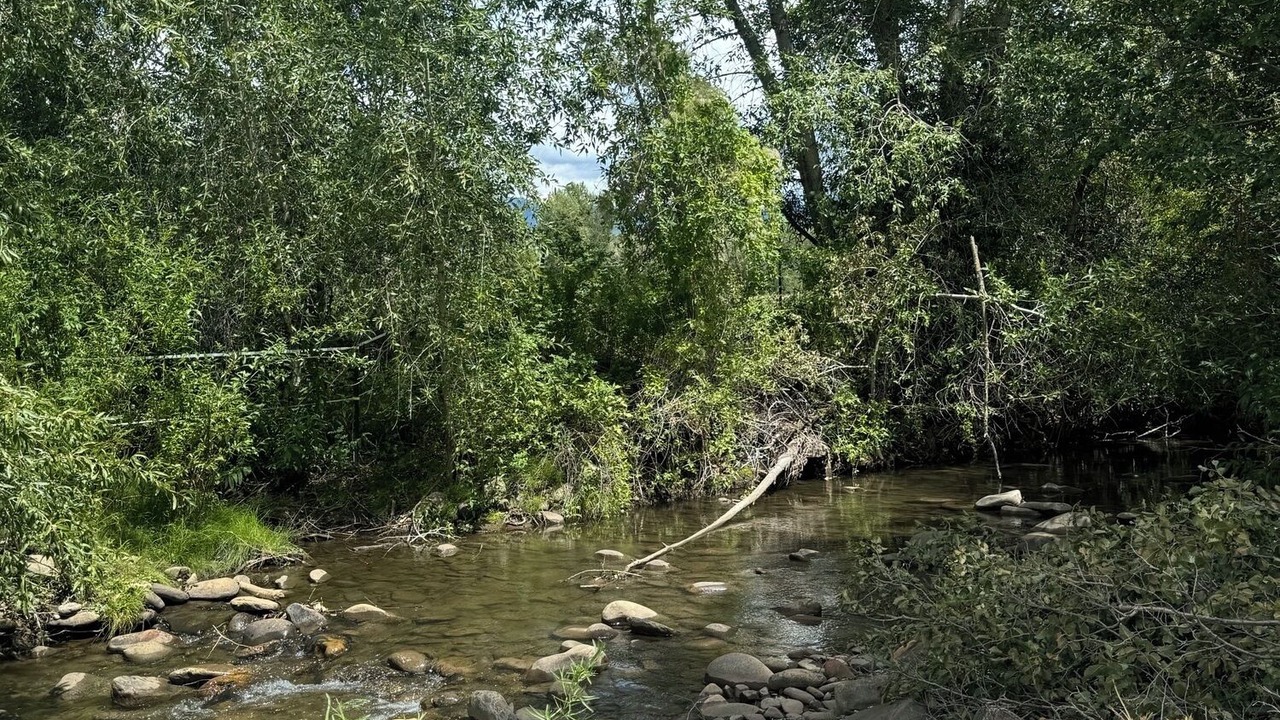 Photo of Others in Mancos