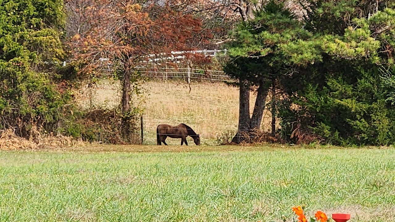 Photo of Others in New Kent