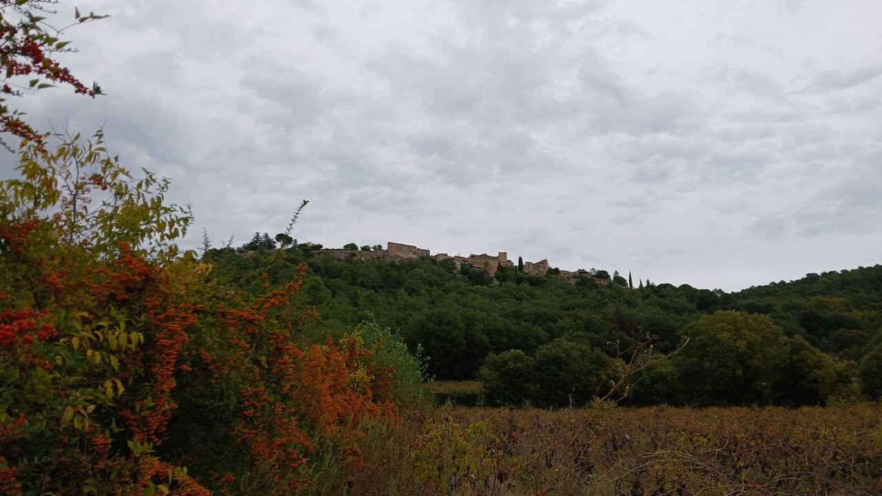 Photo of Others in Saint Michel d'Euzet