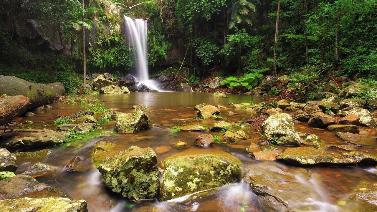 Photo of Others in Lower Beechmont