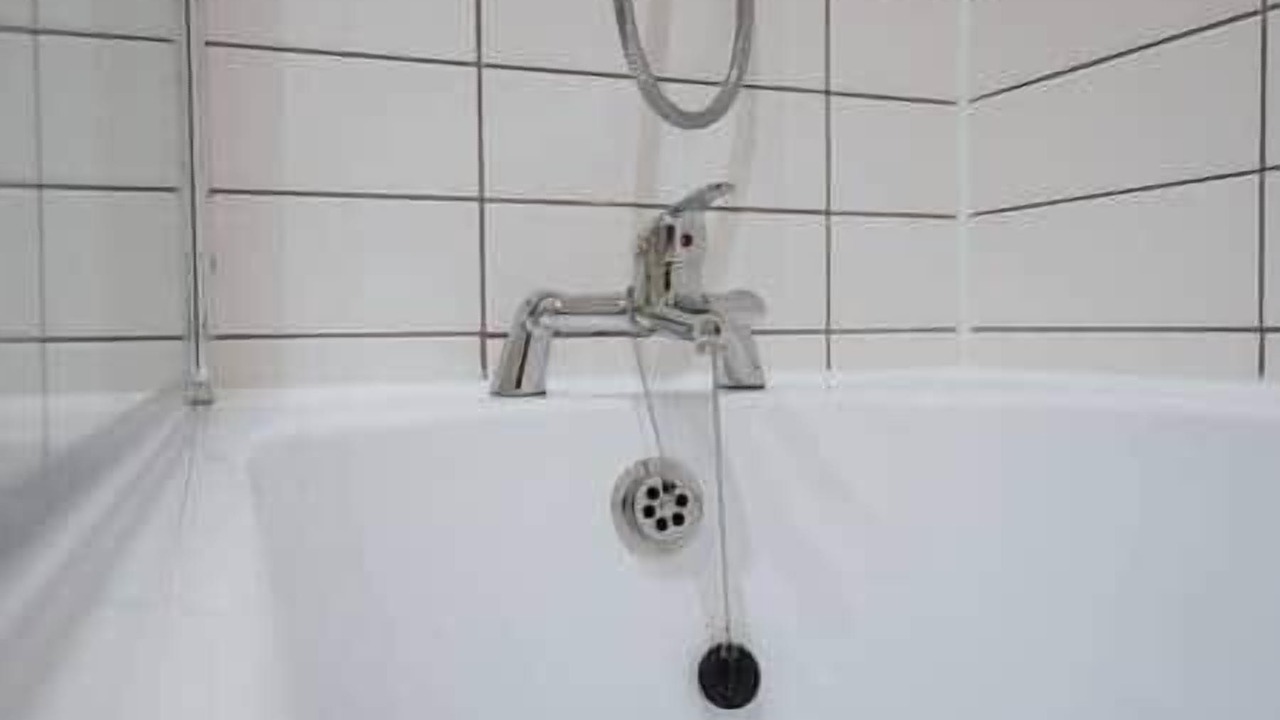 Photo of Others in Everton