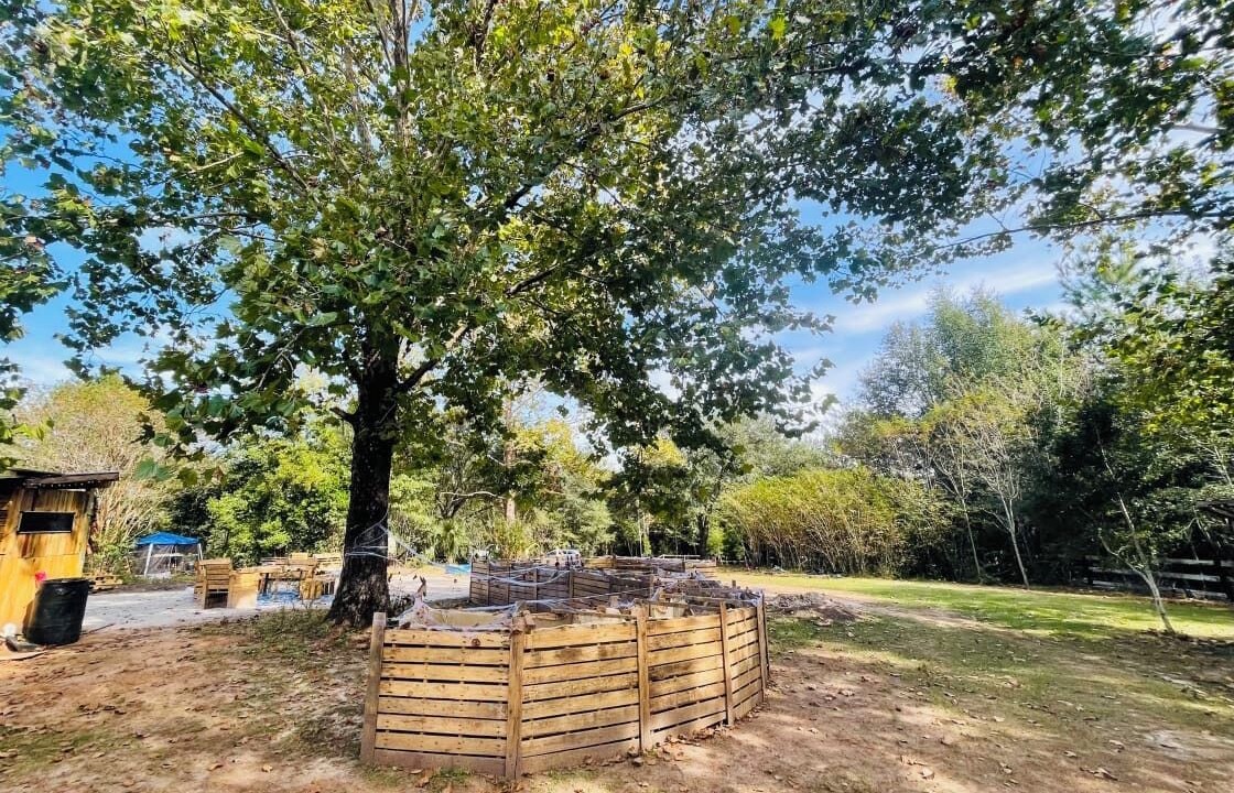 Photo of Others in Tallahassee