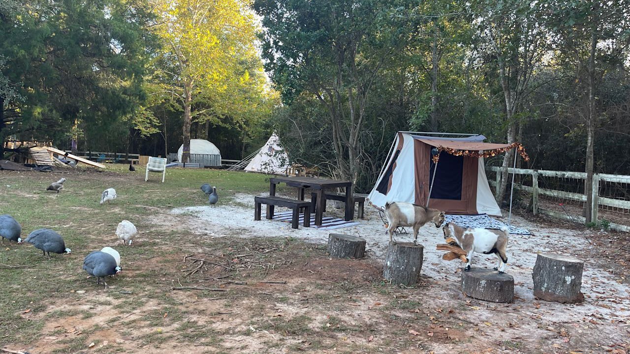 Photo of Outdoor in Tallahassee