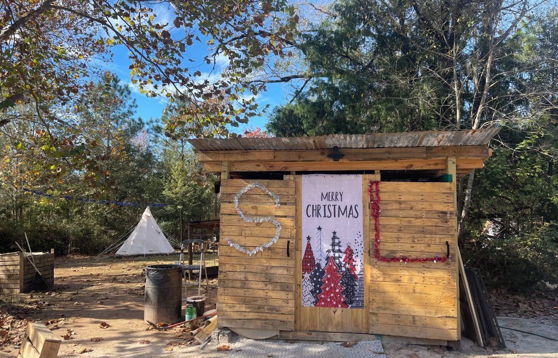 Photo of Others in Tallahassee