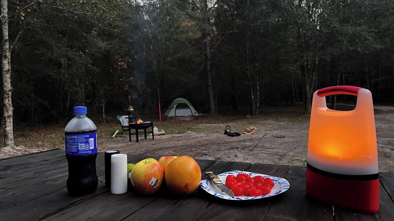 Photo of Outdoor in Tallahassee