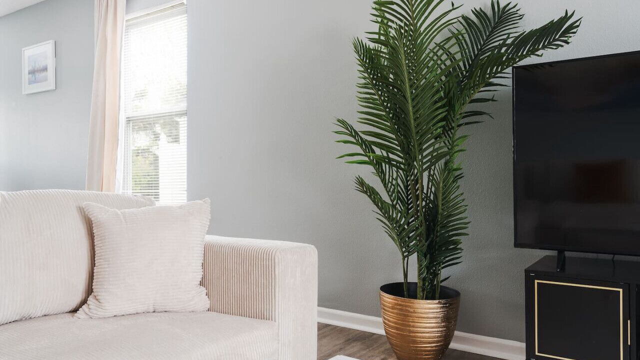 Photo of Livingroom in Plainfield
