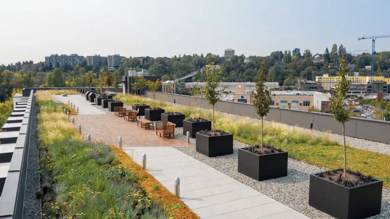 Photo of Others in University District