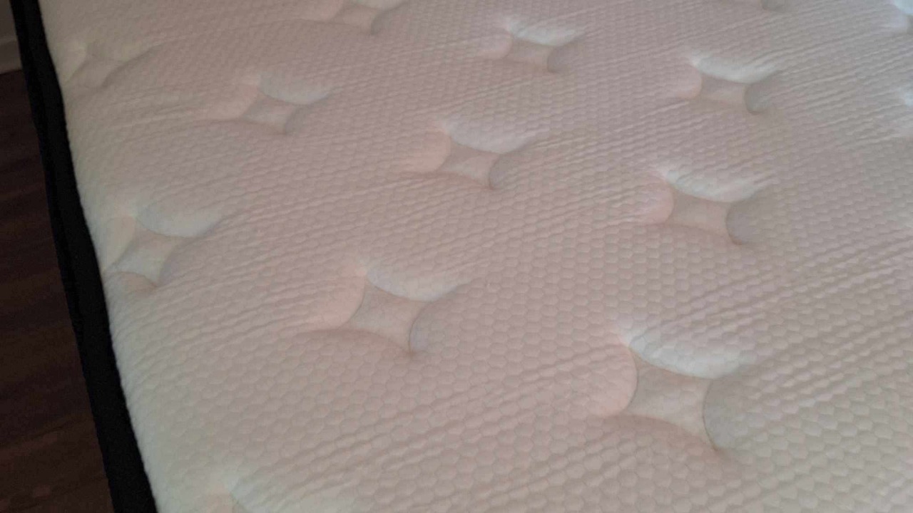 Photo of Others in Sydney