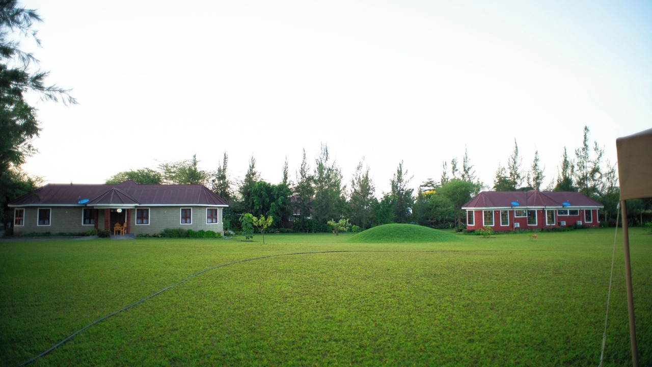 Photo of Outdoor in Bouvet Island