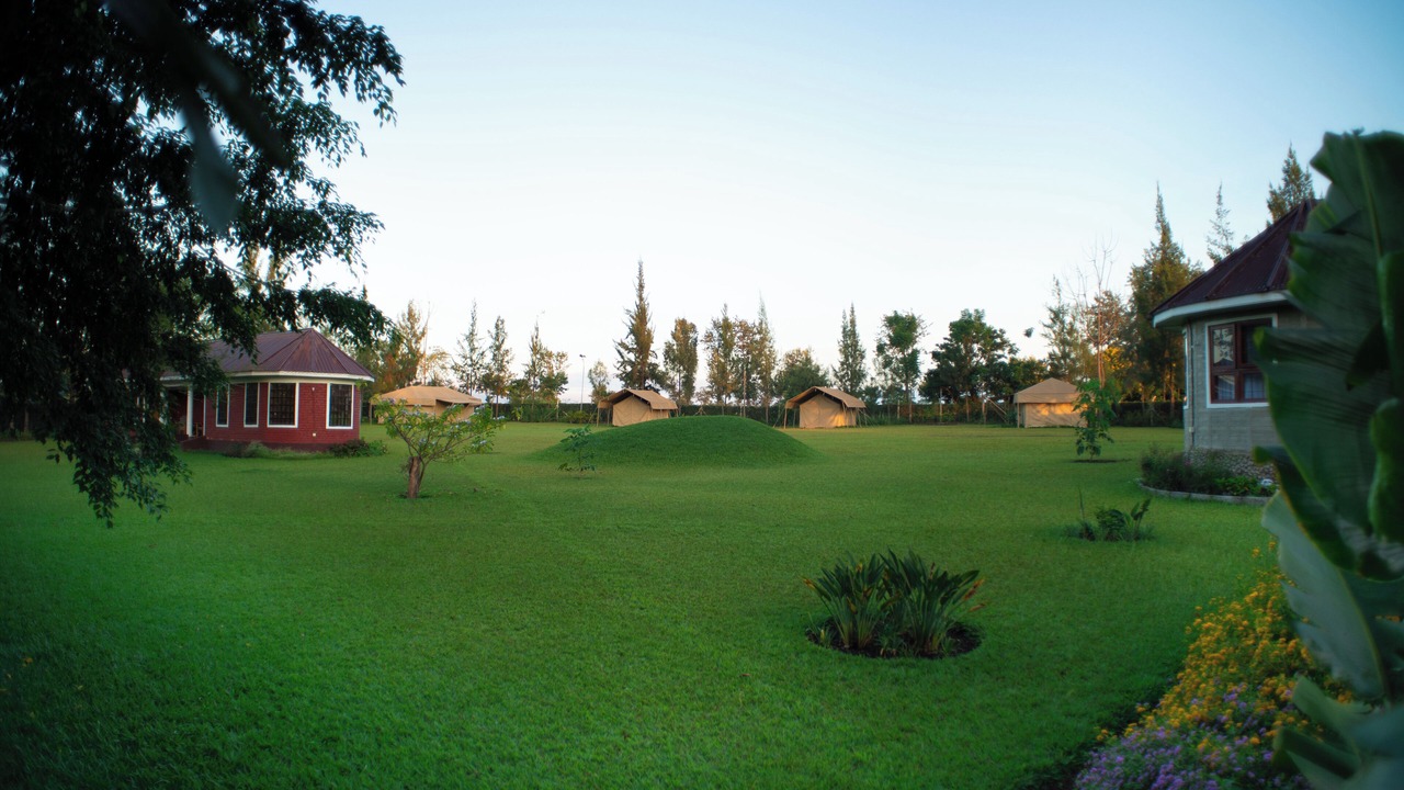 Photo of Outdoor in Bouvet Island