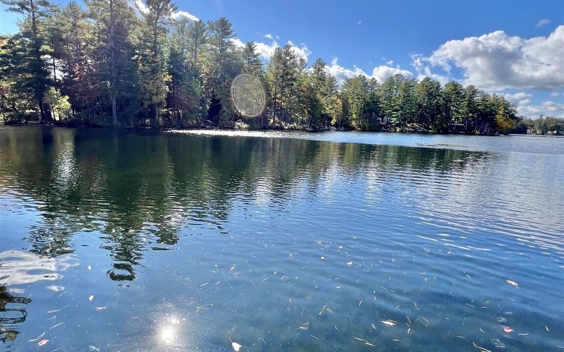 Photo of Others in Windham