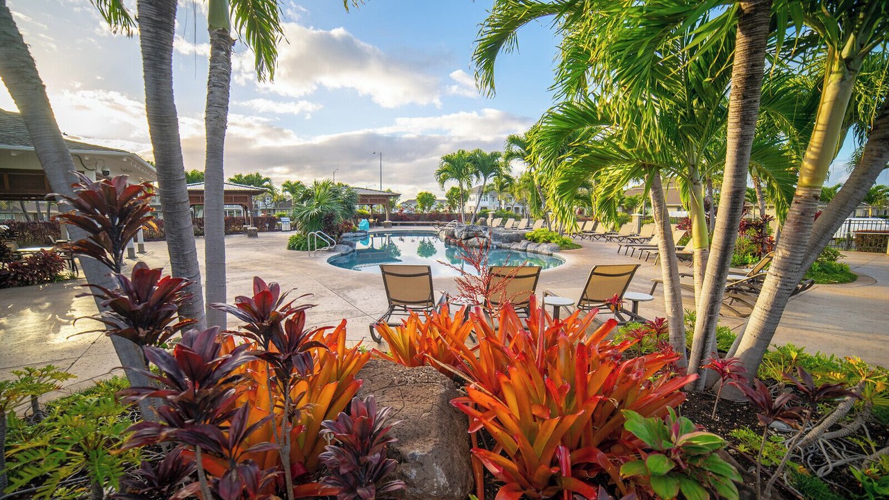 Photo of Outdoor in Ewa