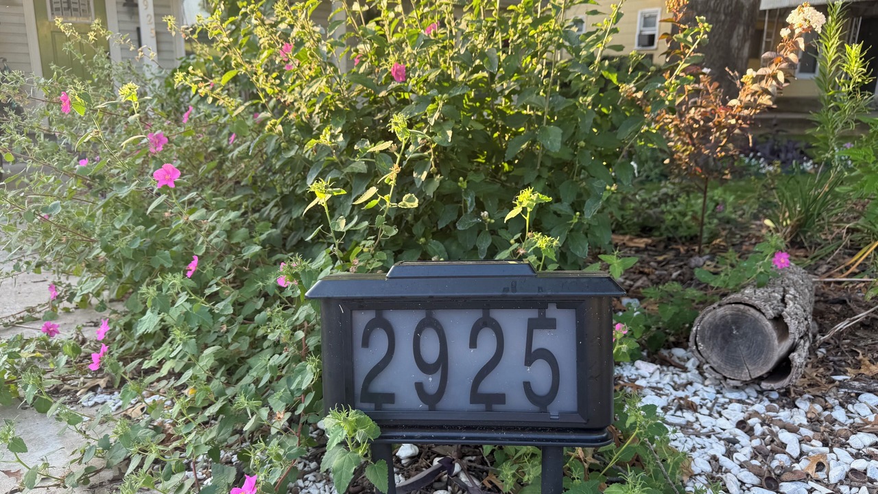 Photo of Outdoor in Handley