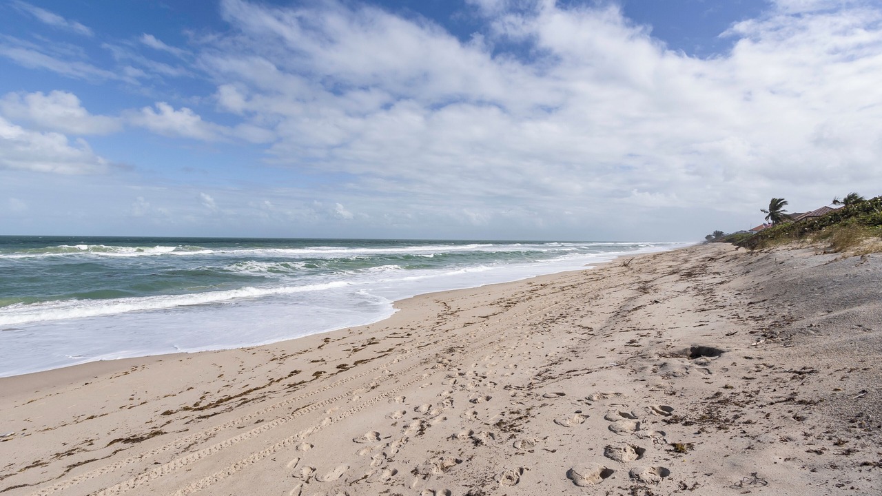 Photo of Others in Melbourne Beach