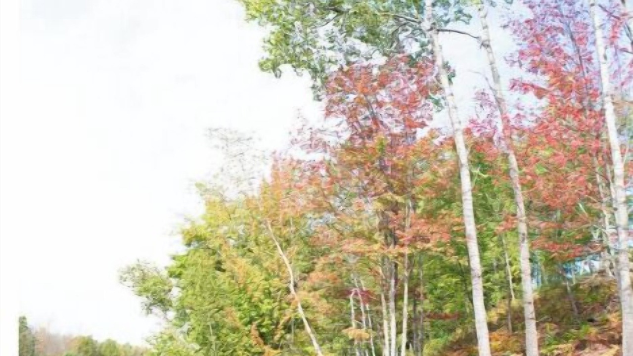 Photo of Outdoor in Crystal Falls