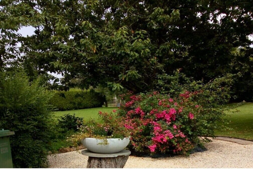 Photo of Outdoor in Cavigny