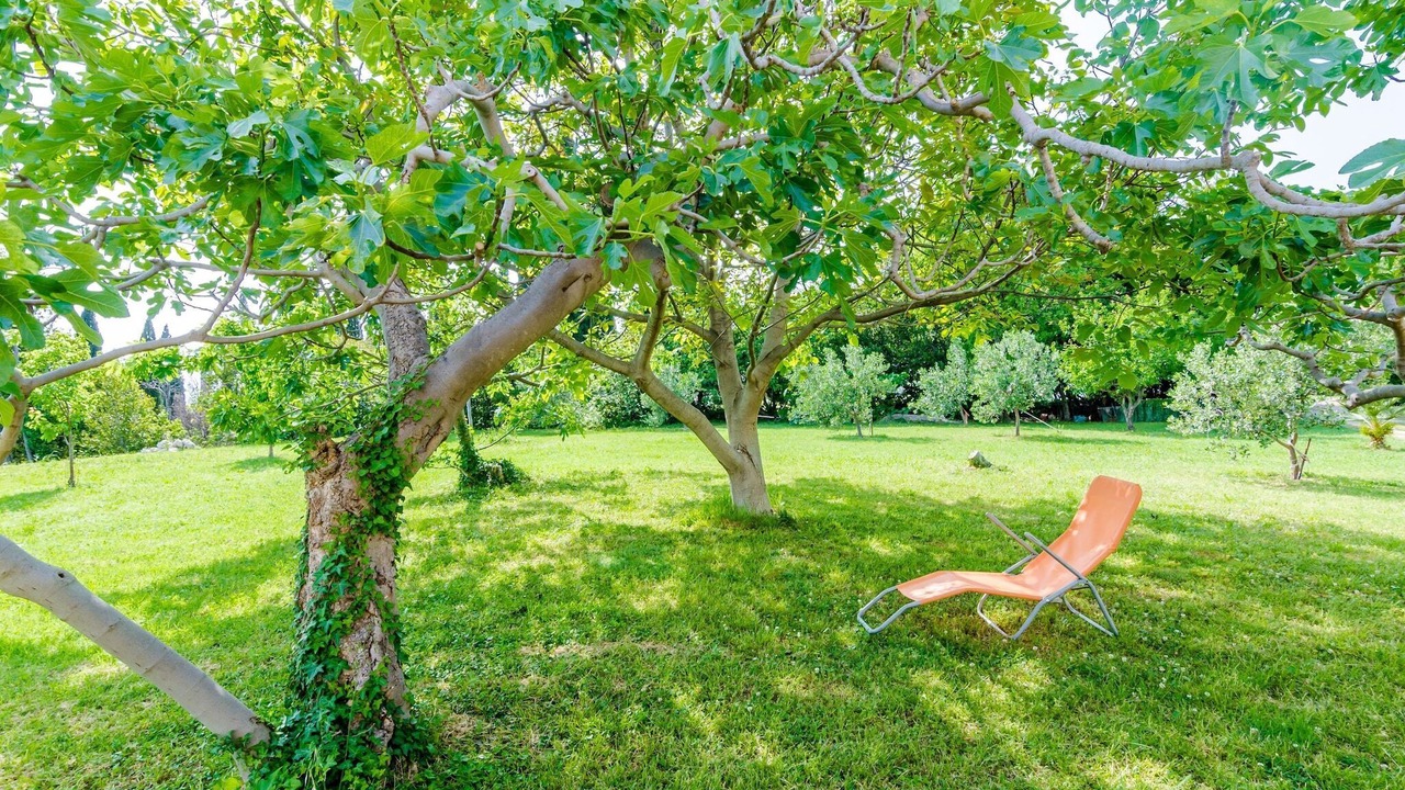 Photo of Outdoor in Mlini