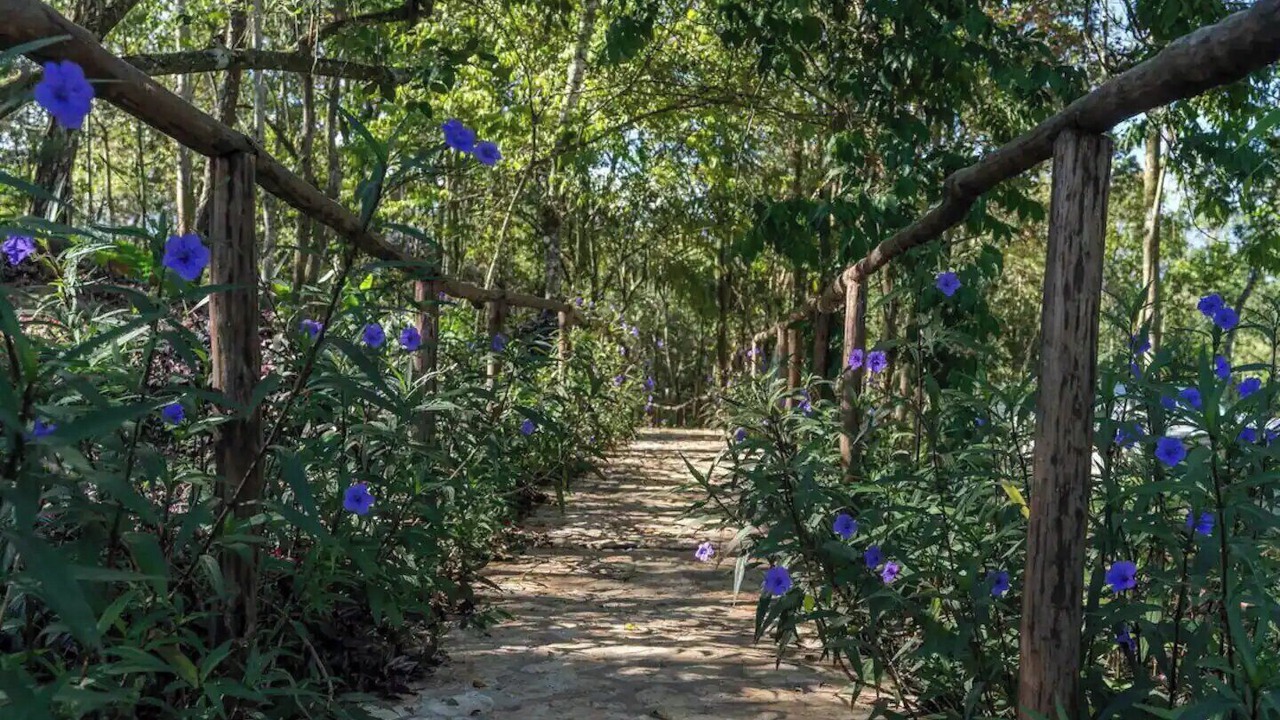 Photo of Others in La Vega Province