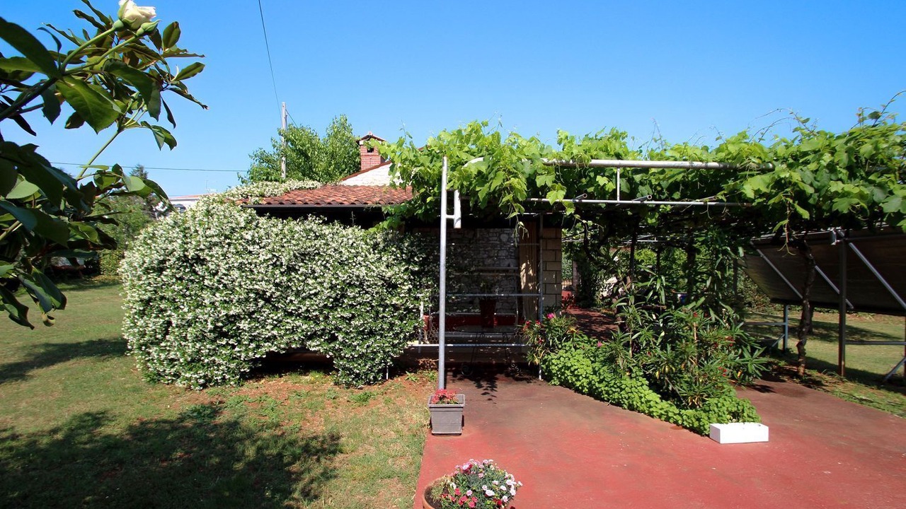 Photo of Outdoor in Zambratija