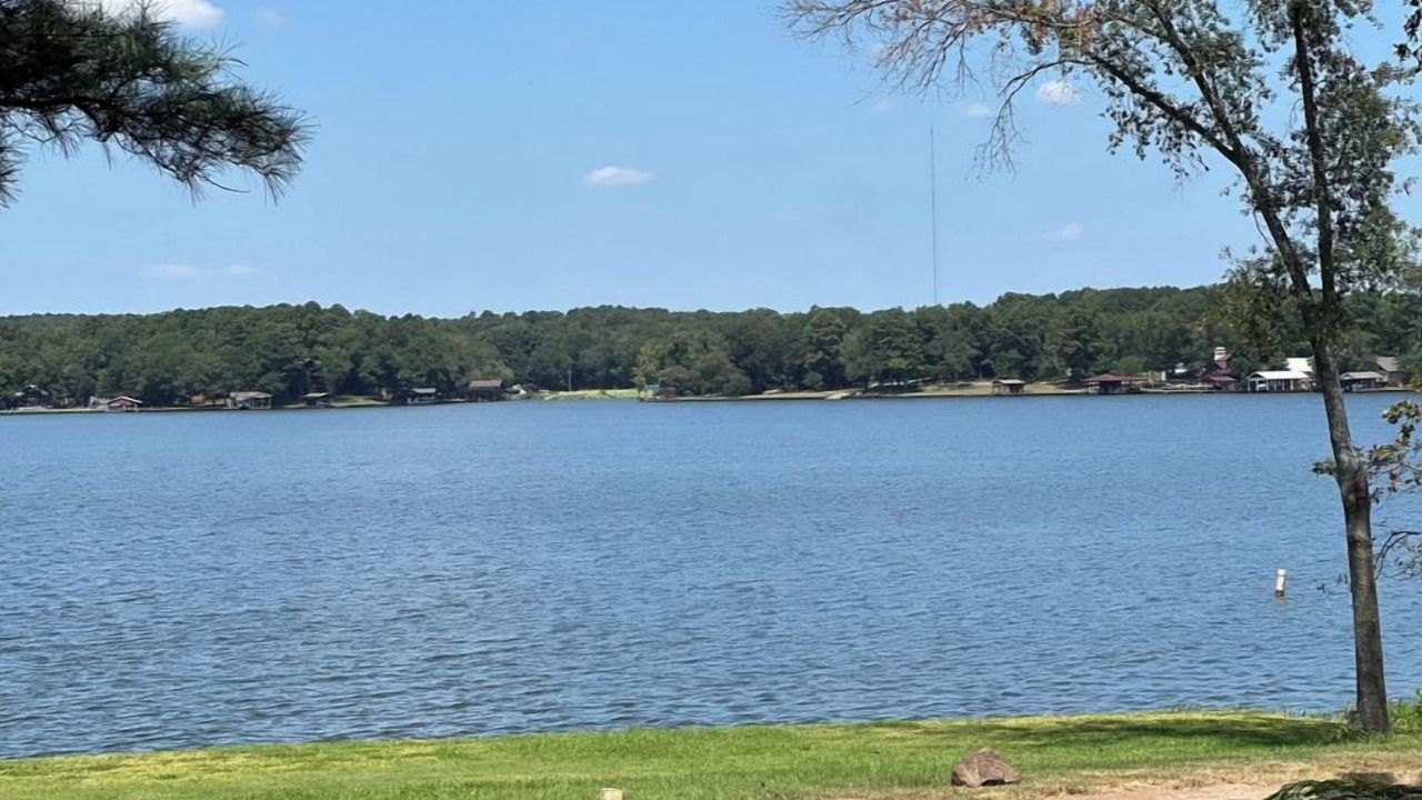 Photo of Others in Scroggins