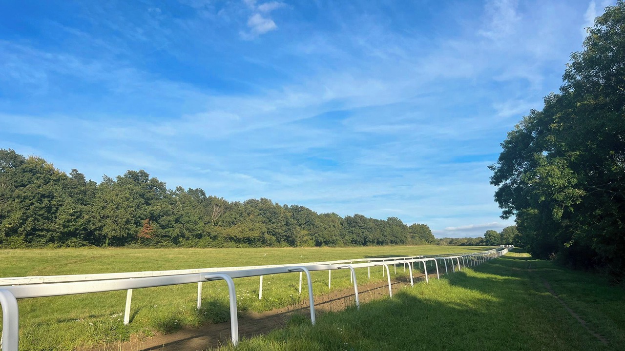 Photo of Others in Epsom