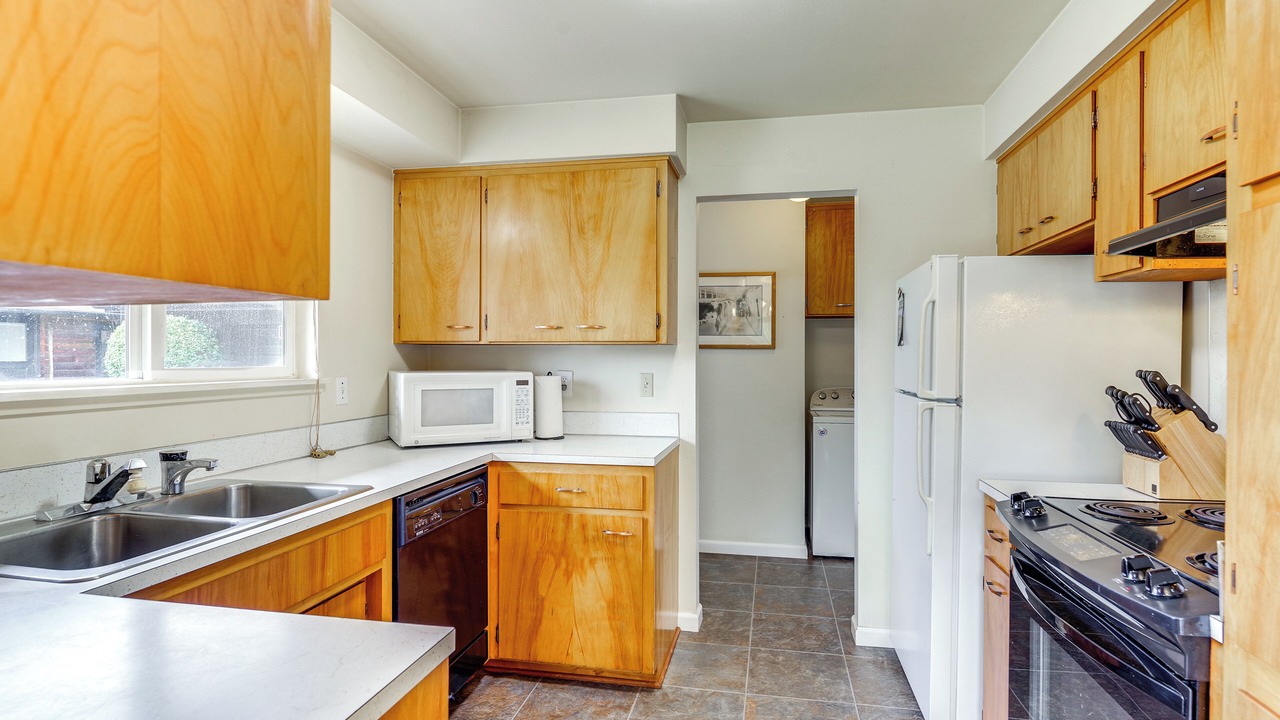 Photo of Others in Carnation