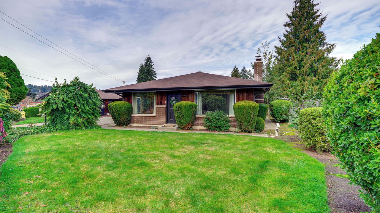 Photo of Others in Carnation