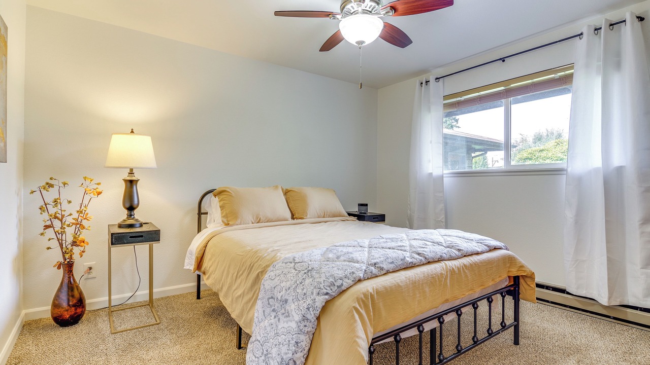 Photo of Others in Carnation