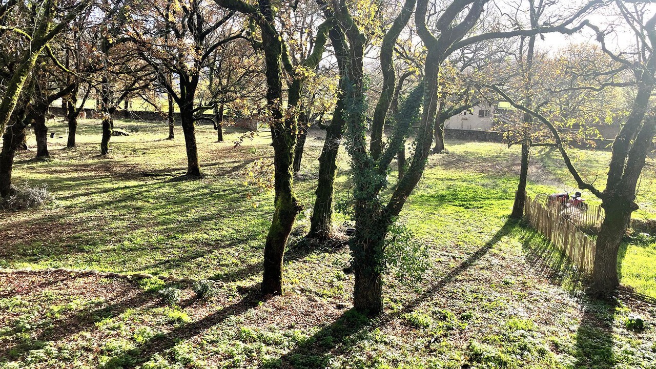 Photo of Outdoor in Saint-Antonin Noble Val