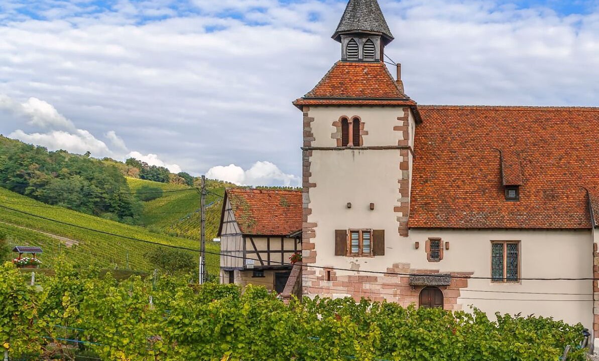 Photo of Outdoor in Dambach-la-Ville