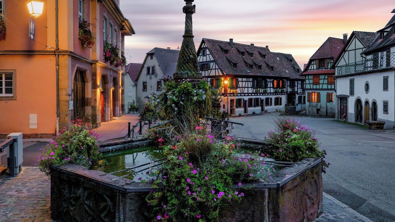 Photo of Outdoor in Dambach-la-Ville