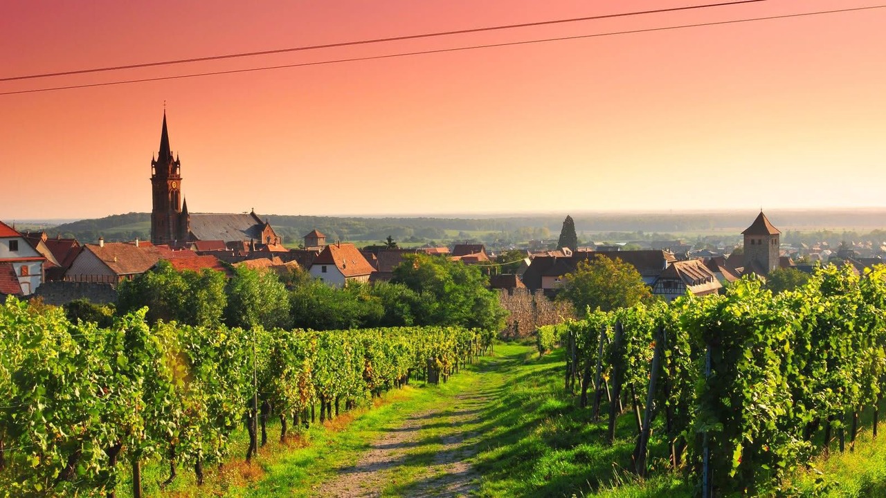Photo of Others in Dambach-la-Ville