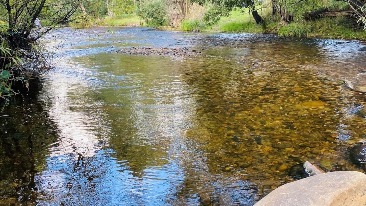 Photo of Others in Merrijig