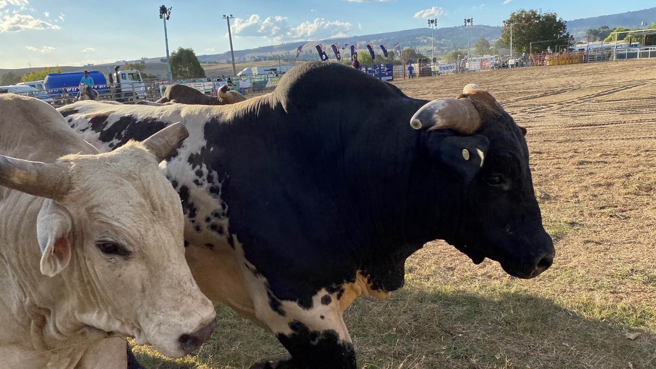 Photo of Others in Merrijig