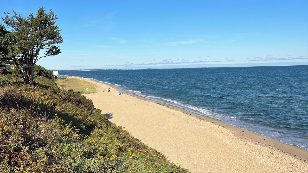 Photo of Others in Mashpee