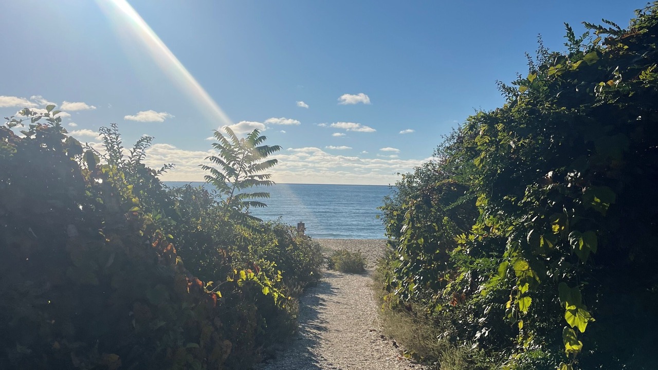 Photo of Others in Mashpee