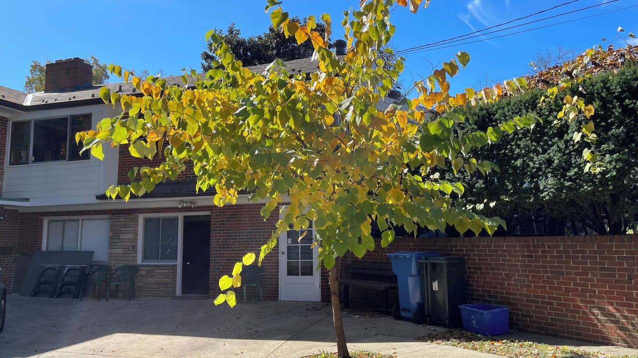 Photo of Outdoor in Silver Spring