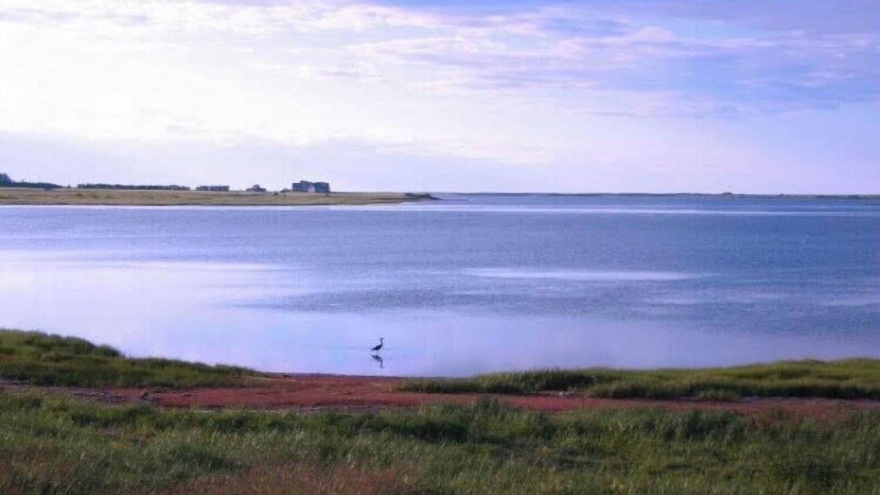 Photo of Others in Malpeque