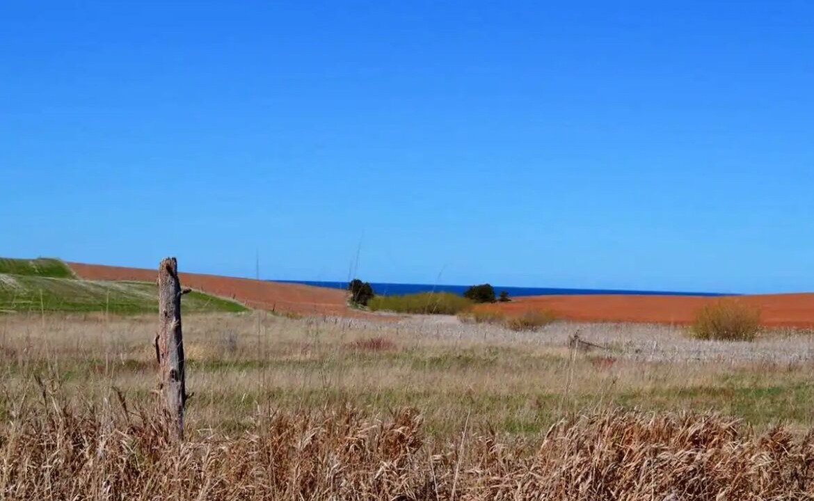 Photo of Others in Malpeque