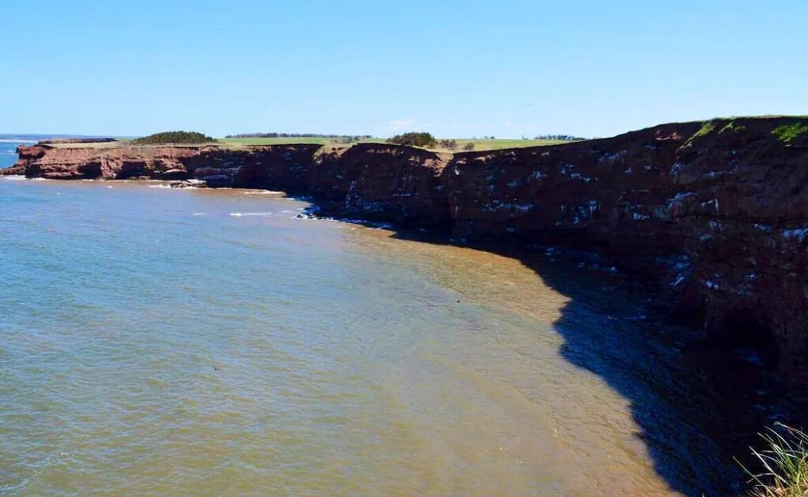 Photo of Others in Malpeque