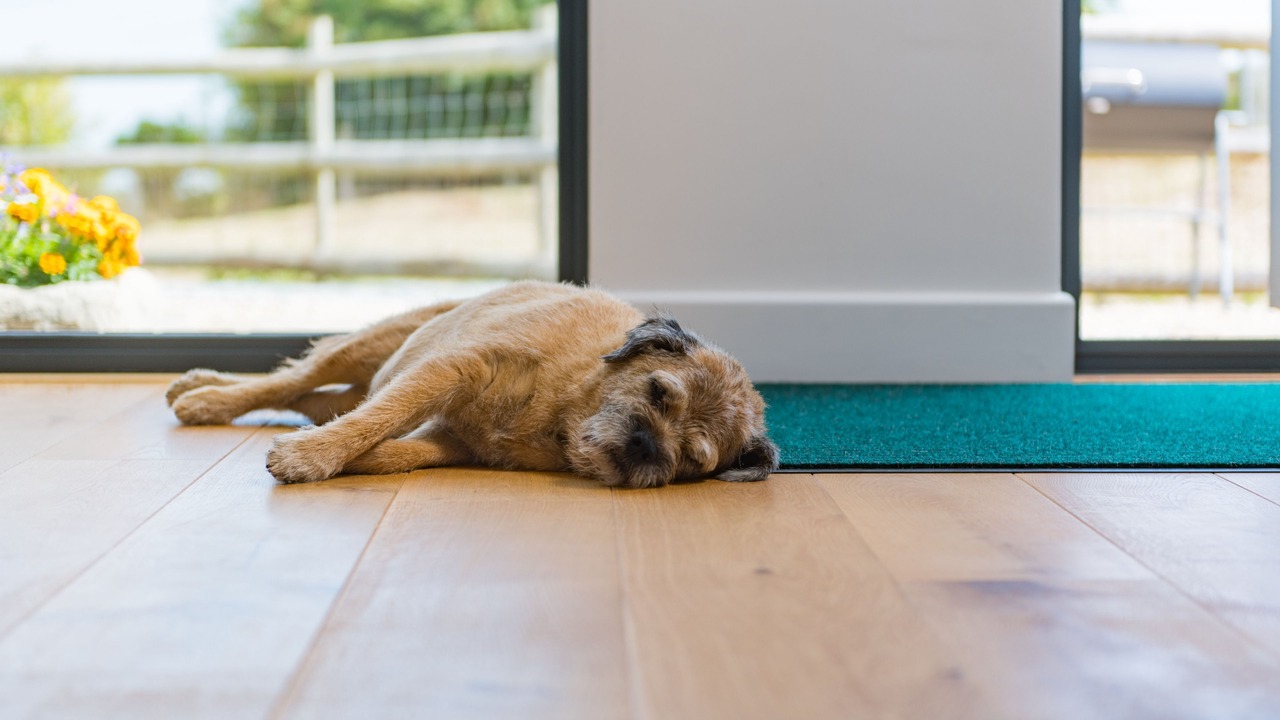 Photo of Others in Martin