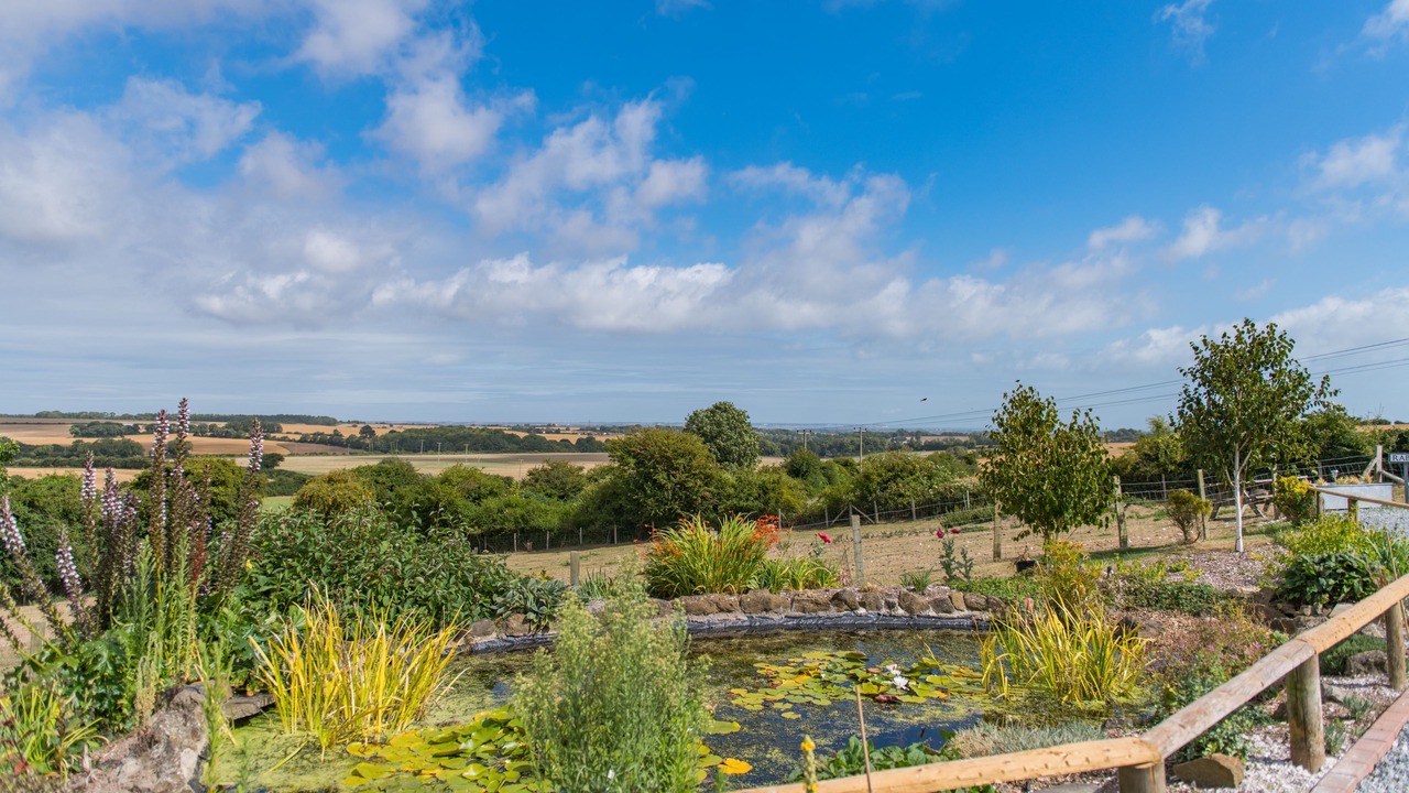 Photo of Outdoor in Martin