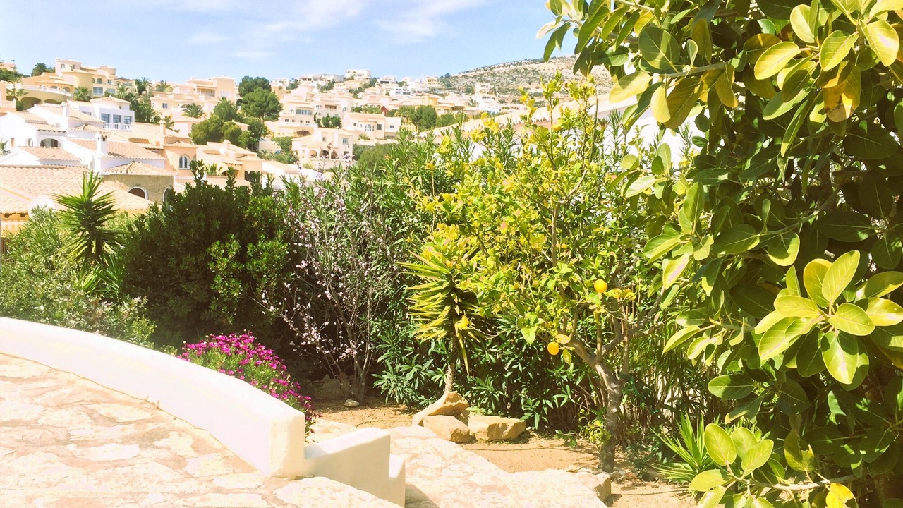 Photo of Outdoor in Cumbre del Sol