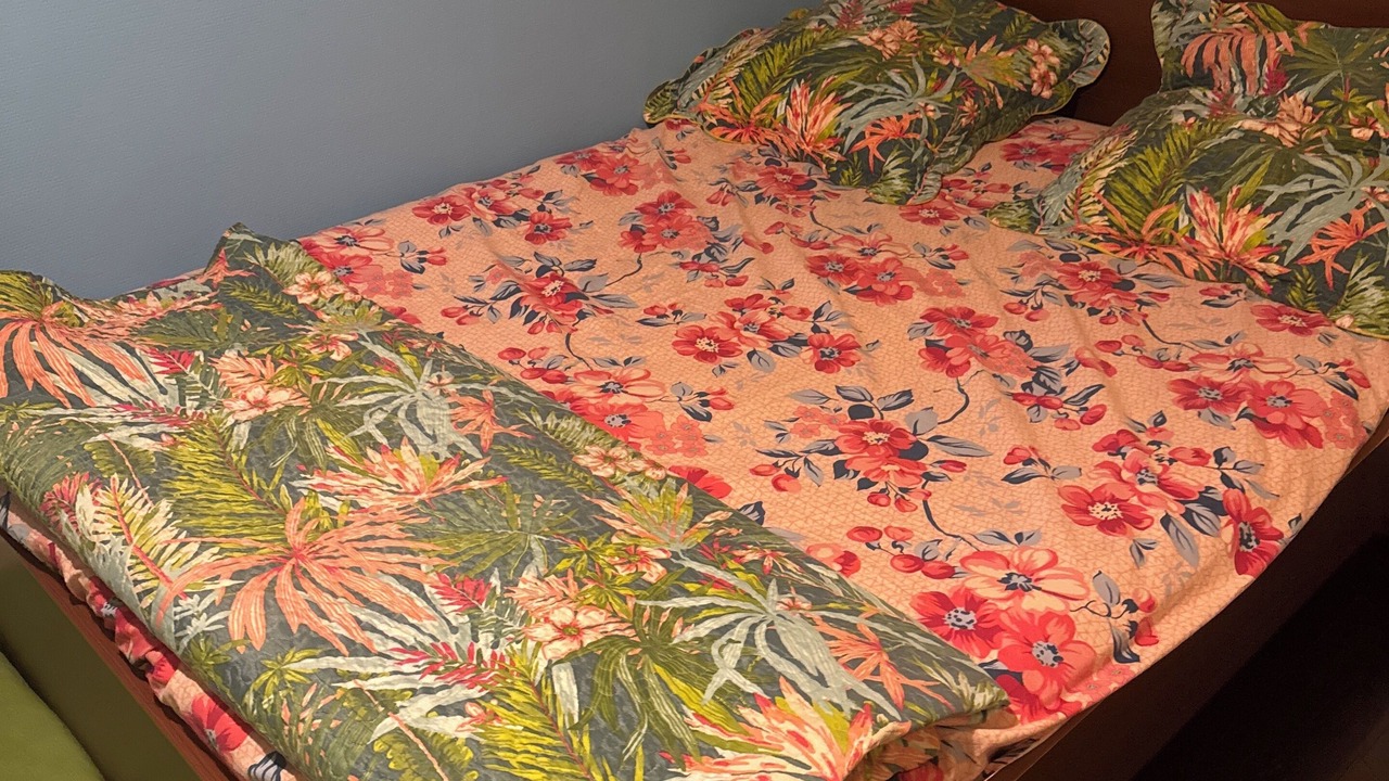 Photo of Bedroom in Brignoud